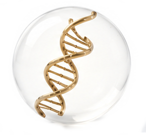 Utilization — DNA in glass sphere