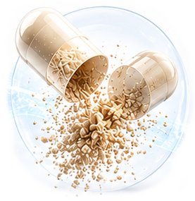 Ingestion — capsule